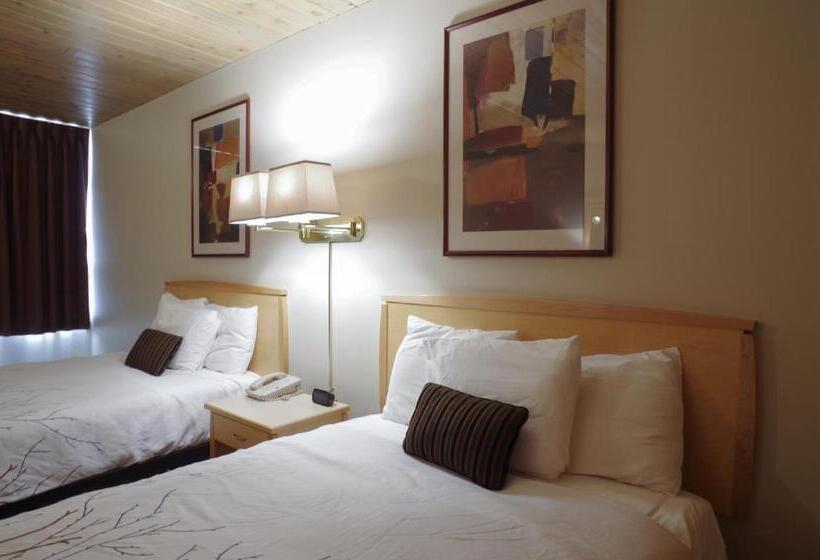 带2个双人床的标准工作室, Canadas Best Value Inn And Suites Fernie