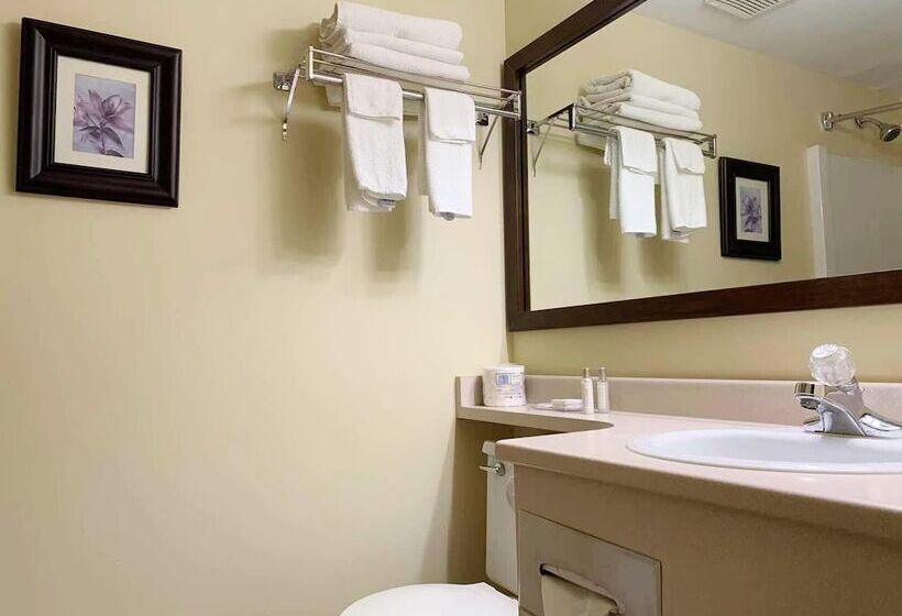 Номер Стандарт, Mountainview Hotel Merritt