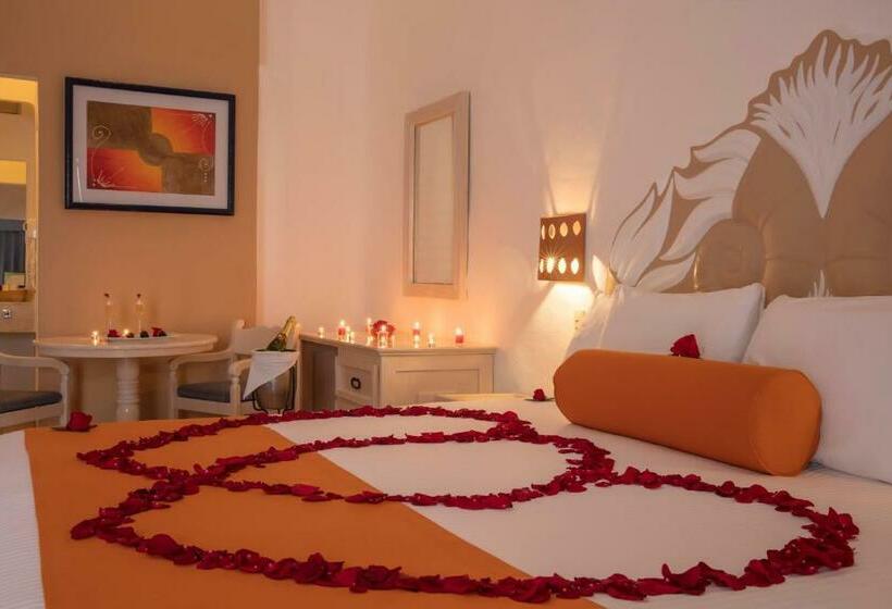 غرفة قياسية ذات إطلالة, Flamingo Vallarta Hotel & Marina