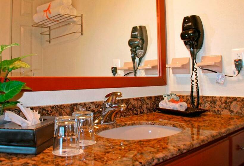 Studio Standard, Paradise Village