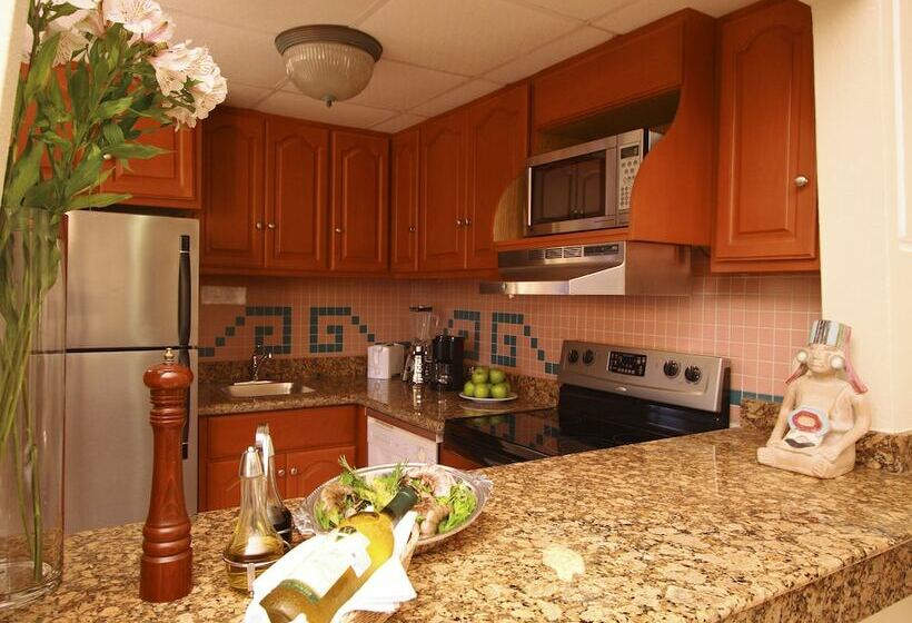 Studio Standard, Paradise Village