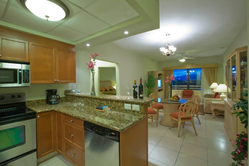 Superior Suite, Paradise Village