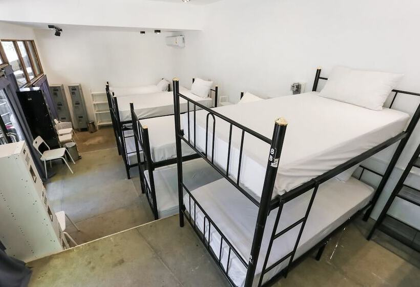 تختخواب در اتاق مشترک, Paradise Beach Backpackers Hostel