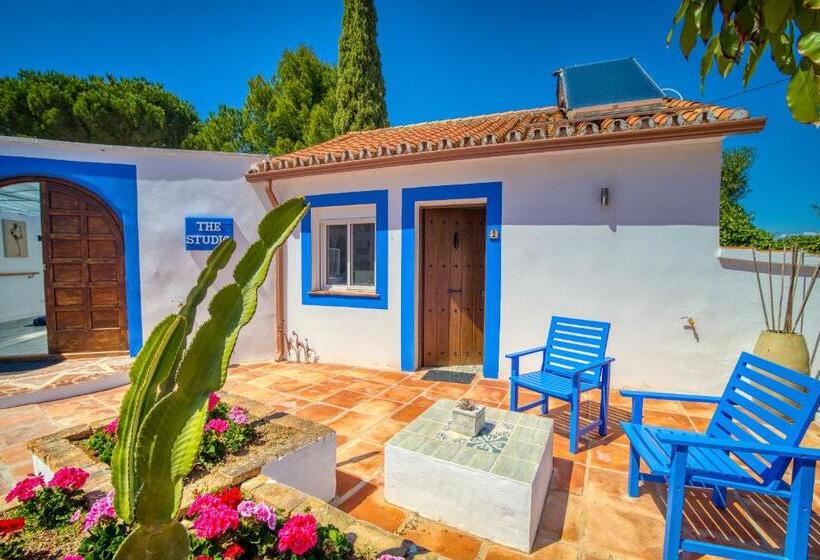 Номер Superior Кровать Кинг, The Palms Boutique Resort Málaga   Adults Only