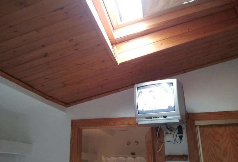 スタンダードシングルルーム, Hostal Arneva Orihuela