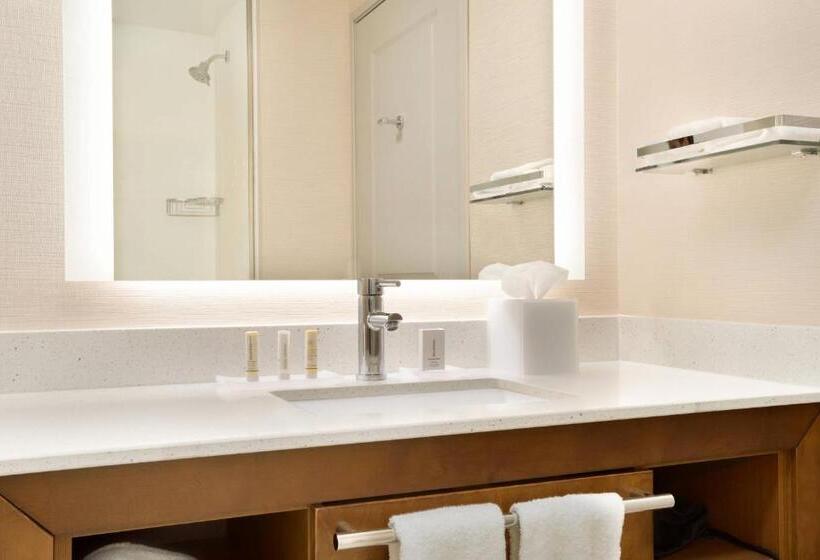 Студия Стандарт, Residence Inn By Marriott Phoenix Chandler/south