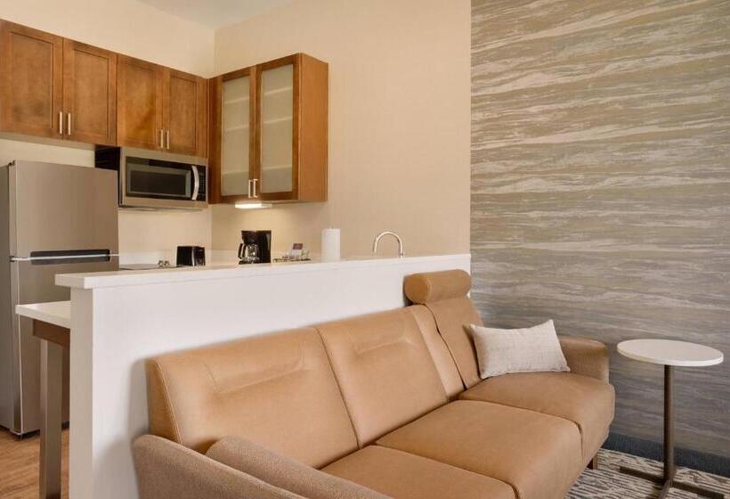 Студио Стандарт с Видом, Residence Inn By Marriott Phoenix Chandler/south