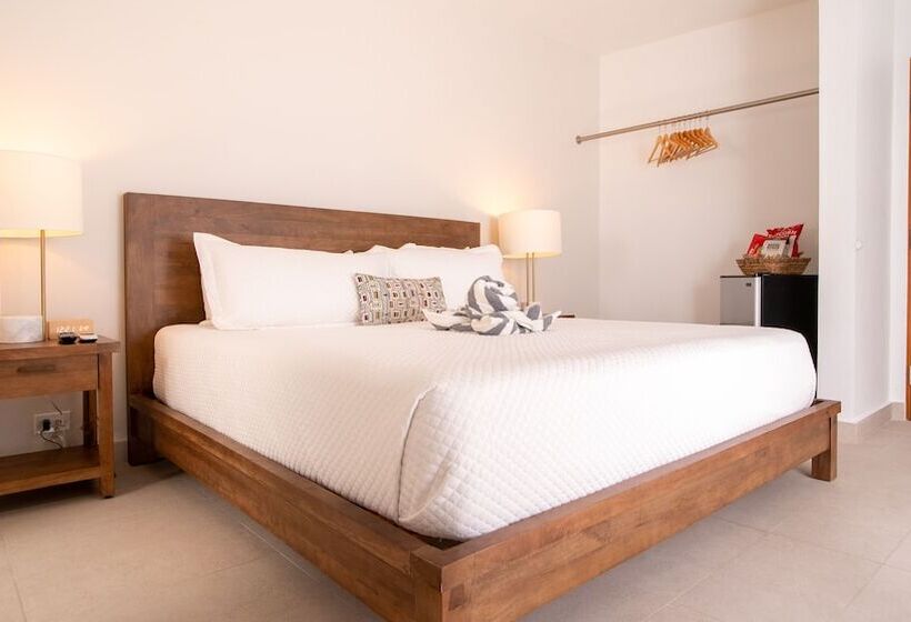 اتاق استاندارد, Lazy Parrot Inn