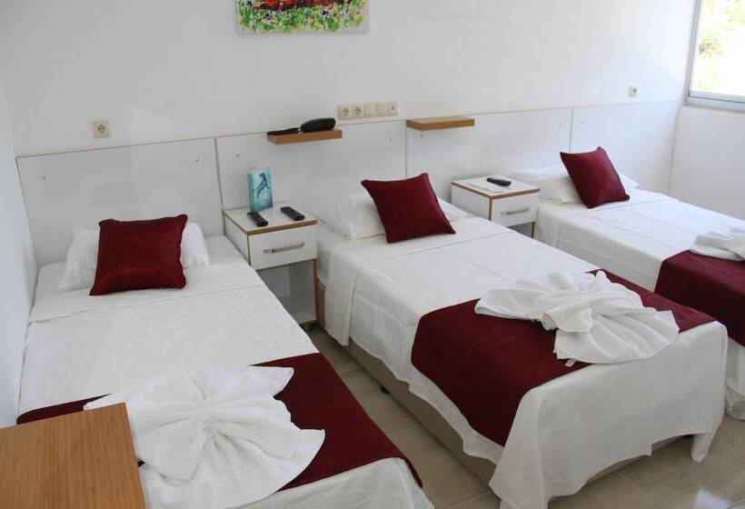 اتاق استاندارد سه نفره, Aelbistan Otel