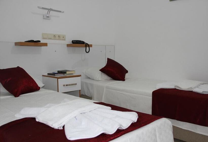 اتاق استاندارد, Aelbistan Otel