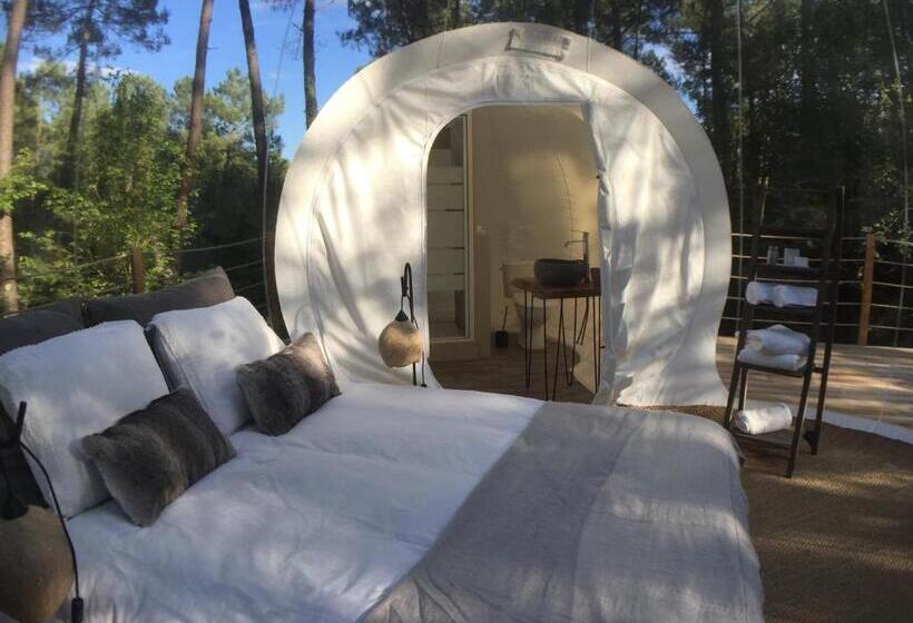 Номер Deluxe, Les Bulles De Bordeaux