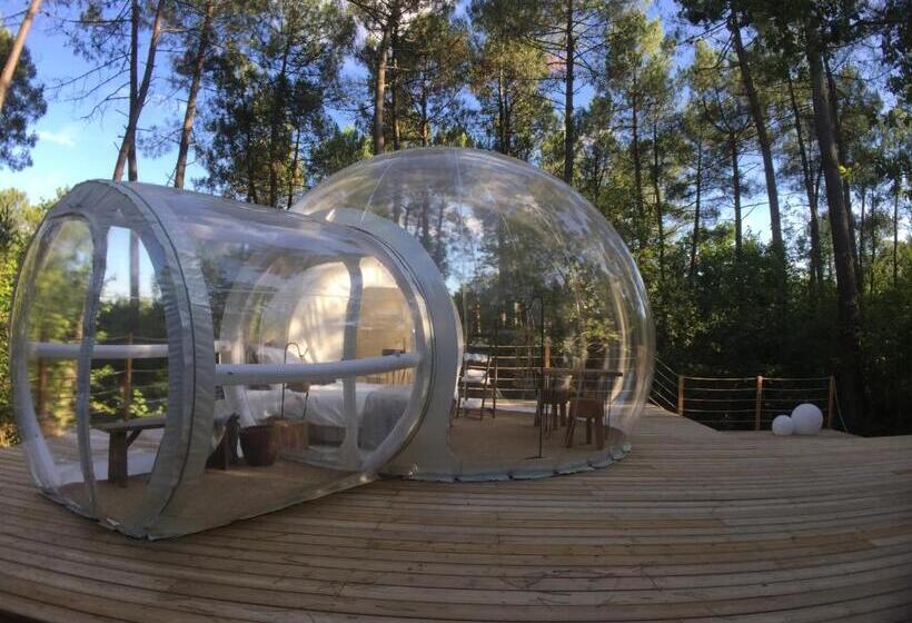 Номер Deluxe, Les Bulles De Bordeaux
