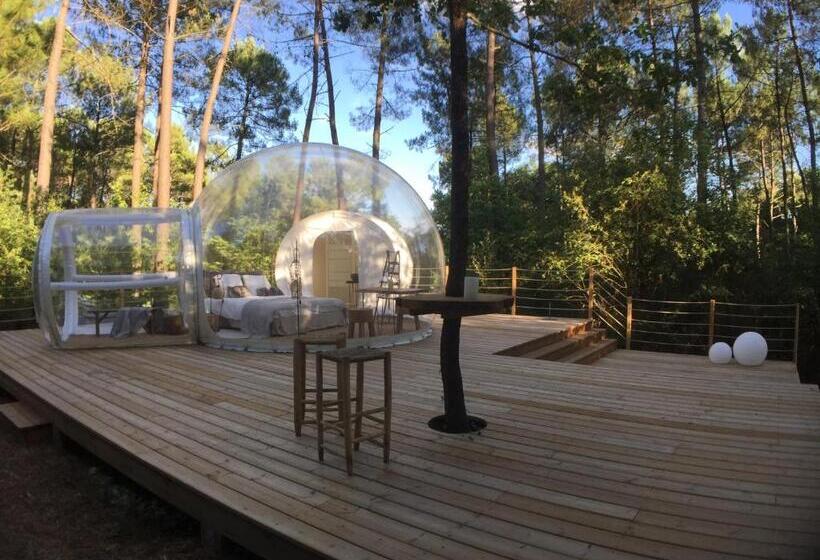 Номер Deluxe, Les Bulles De Bordeaux