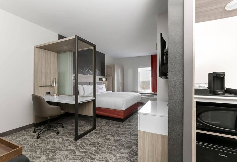 Люкс, Springhill Suites By Marriott Auburn