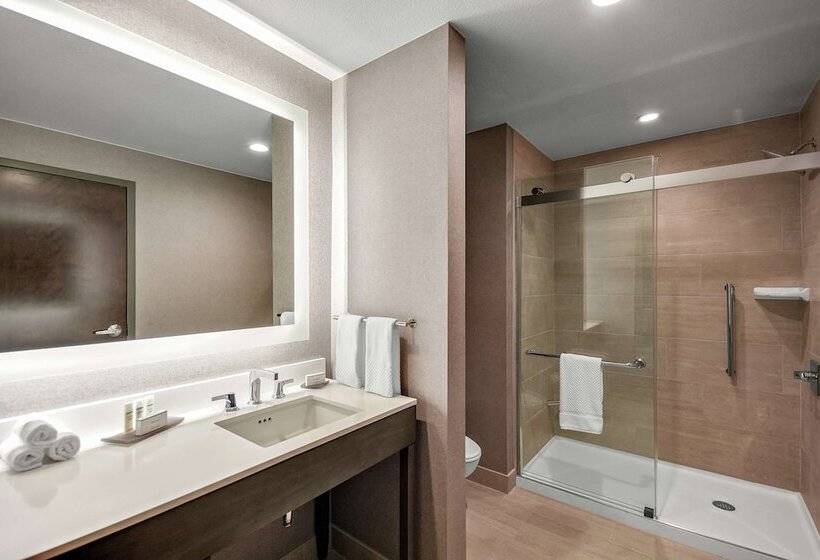 Люкс Премиум, Embassy Suites By Hilton Jonesboro Red Wolf Convention Center