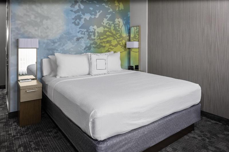 带大床的套房, Courtyard By Marriott East Lansing Okemos
