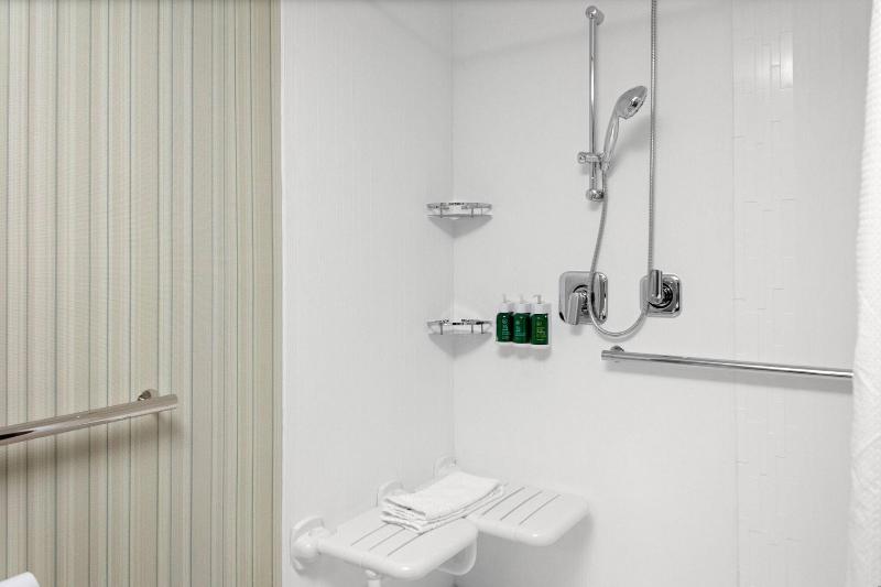 带大床的套房, Courtyard By Marriott East Lansing Okemos