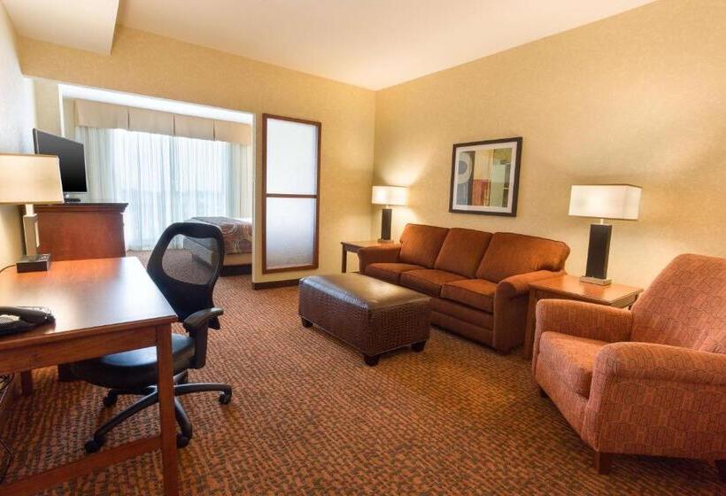 스탠다드 룸 킹사이즈 침대, Drury Inn And Suites Denver Central Park