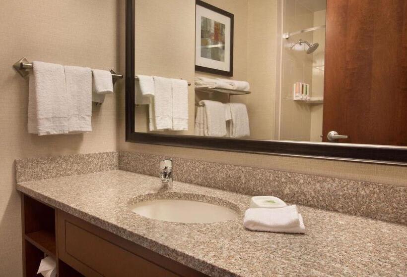 장애인을 위한 수피리어 룸, Drury Inn And Suites Denver Central Park