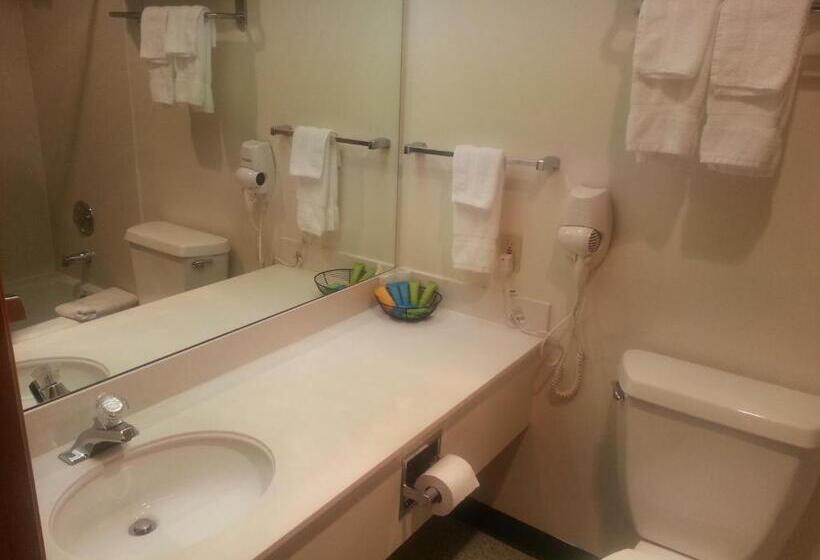 Номер Стандарт, Fidalgo Country Inn