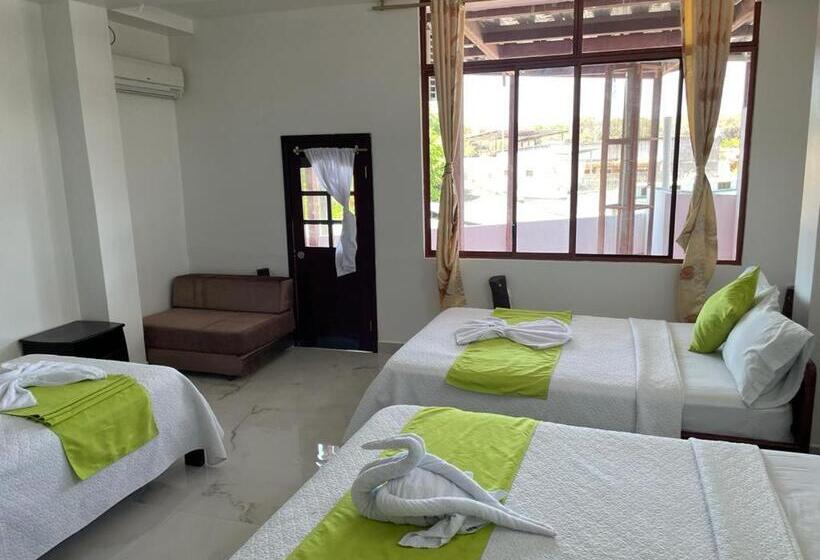 اتاق استاندارد چهار تخته, Hostal Carliza