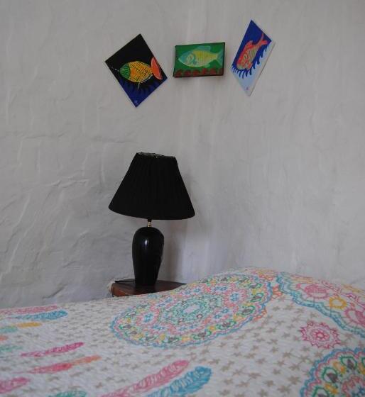 Номер Стандарт Индивидуальный, Hostal Galapagos By Bar De Beto