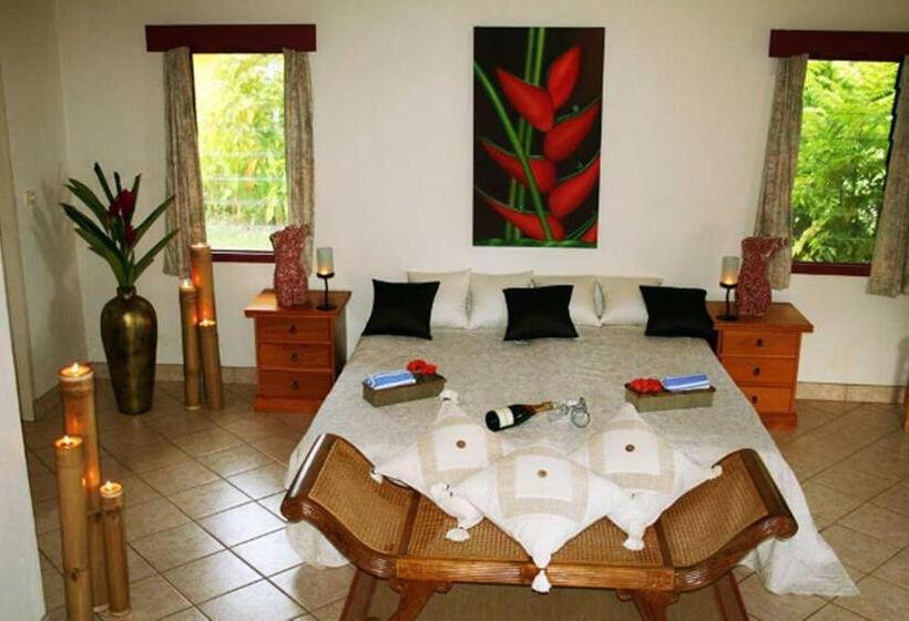 高级单人间, Waidroka Bay Resort