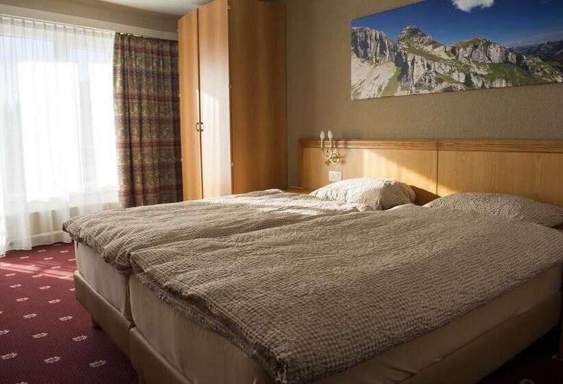اتاق استاندارد یک نفره, Alpine Classic