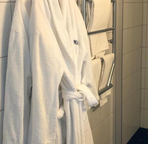 Номер Стандарт с Террасой, Grand Hotel Falkenberg