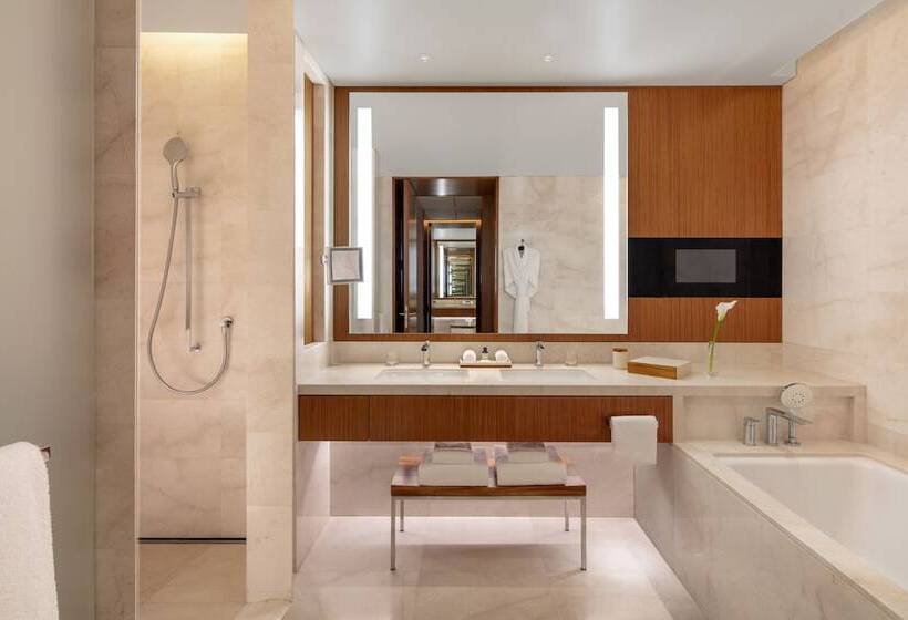 Habitación Estándar Vista Ciudad, Park Hyatt Doha