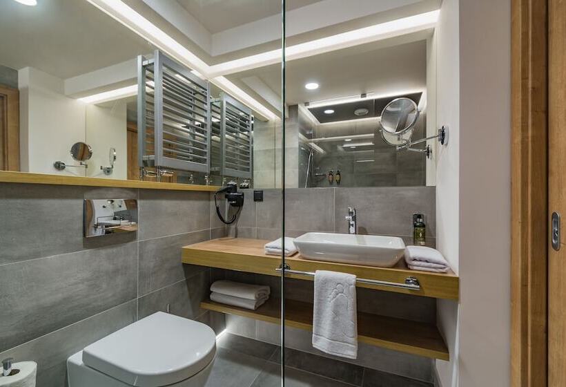 Номер Стандарт Плюс, Szczawnica Park Resort & Spa