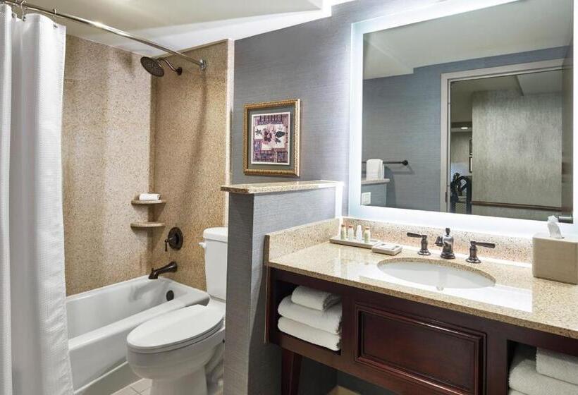 Стандартный Номер Кровать Кинг, Renaissance Mobile Riverview Plaza