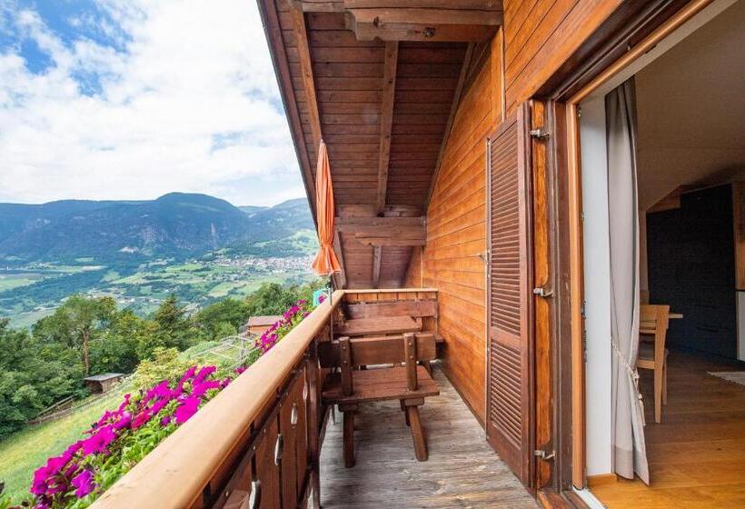 带1个卧室的公寓, Ausservogelweiderhof