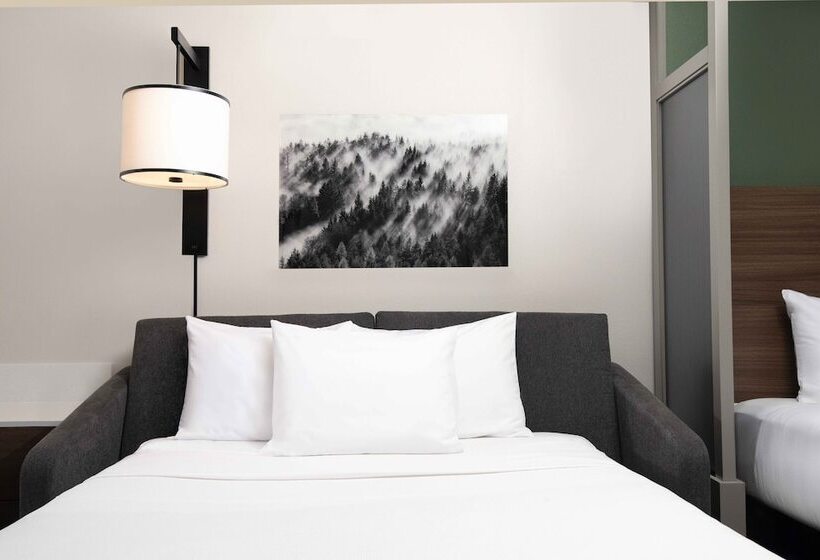Номер Стандарт 2 Двуспальные Кровати, Hyatt Place Denver South/park Meadows
