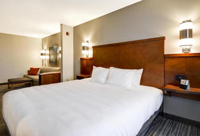 Номер Стандарт Кровать Кинг Адаптированный для Инвалидов, Hyatt Place Kansas City/overland Park/metcalf
