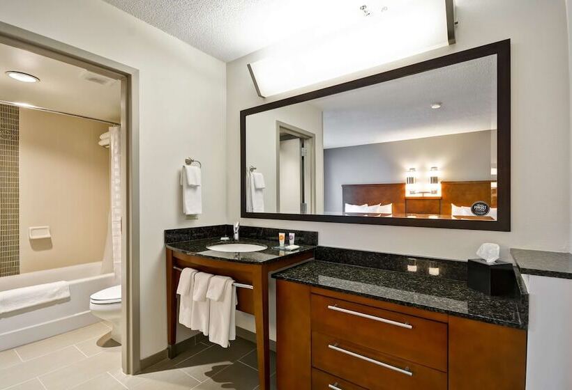 Номер Стандарт 2 Двуспальные Кровати, Hyatt Place Kansas City/overland Park/metcalf