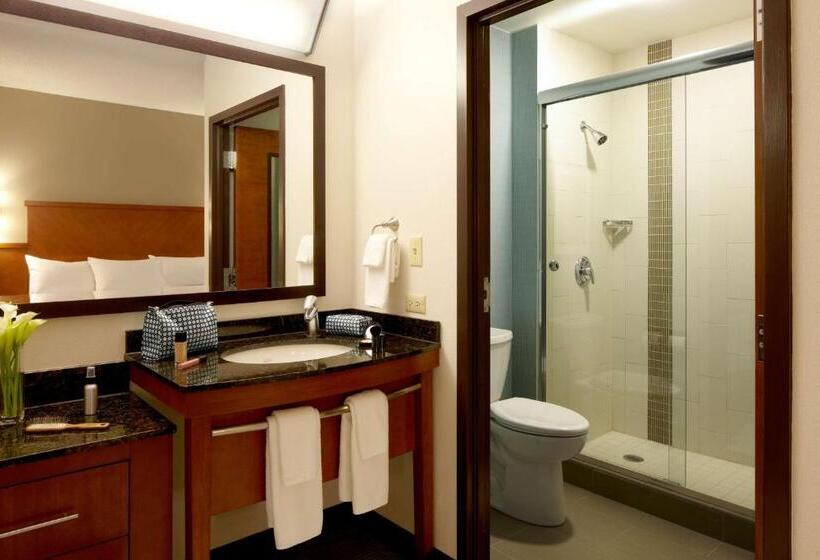 带大床的标准间, Hyatt Place Scottsdale/old Town