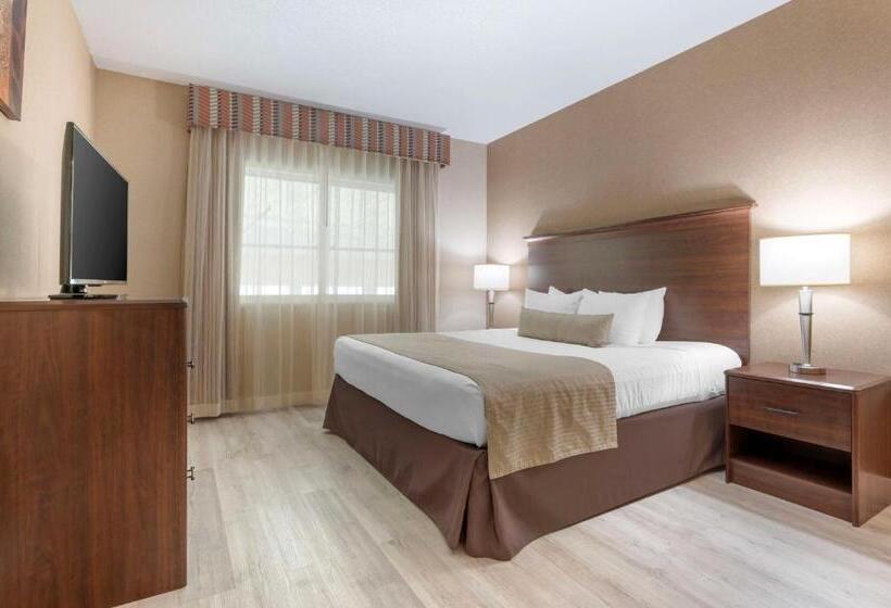 Полулюкс Кровать Кинг, Best Western Circus City Inn