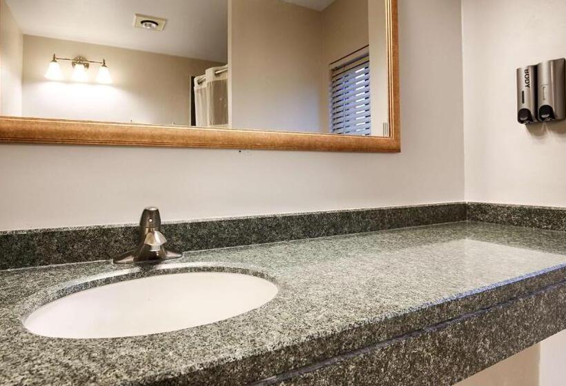 اتاق استاندارد با تخت بزرگ, Best Western Oakbrook Inn
