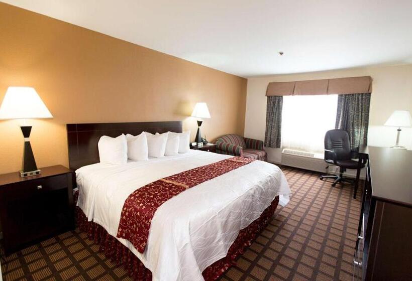 اتاق لوکس با تخت بزرگ, Best Western Oakbrook Inn