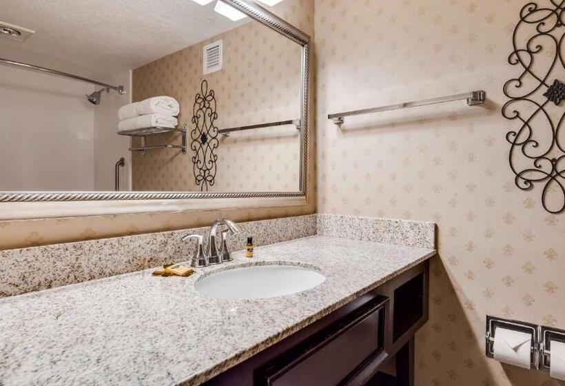 Номер Стандарт Кровать Кинг Адаптированный для Инвалидов, Best Western Plus Abbey Inn