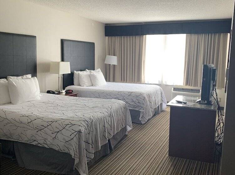 스위트, Best Western Park Oasis Inn
