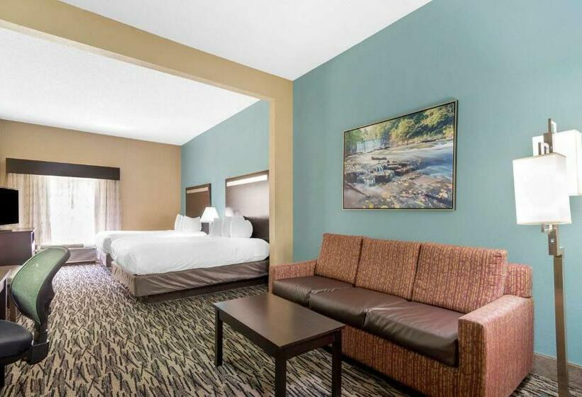 스위트, Best Western Plus Mcdonough Inn & Suites