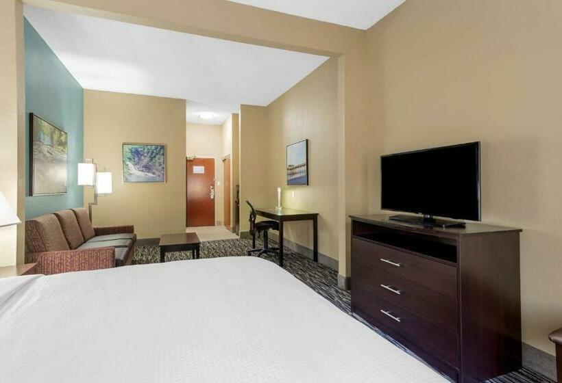 장애인을 위한 스위트, Best Western Plus Mcdonough Inn & Suites