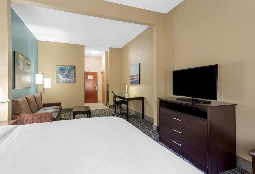 장애인을 위한 스위트, Best Western Plus Mcdonough Inn & Suites