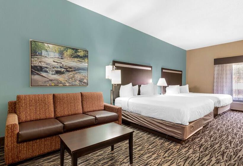 스위트, Best Western Plus Mcdonough Inn & Suites