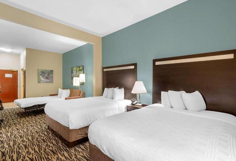 스위트, Best Western Plus Mcdonough Inn & Suites