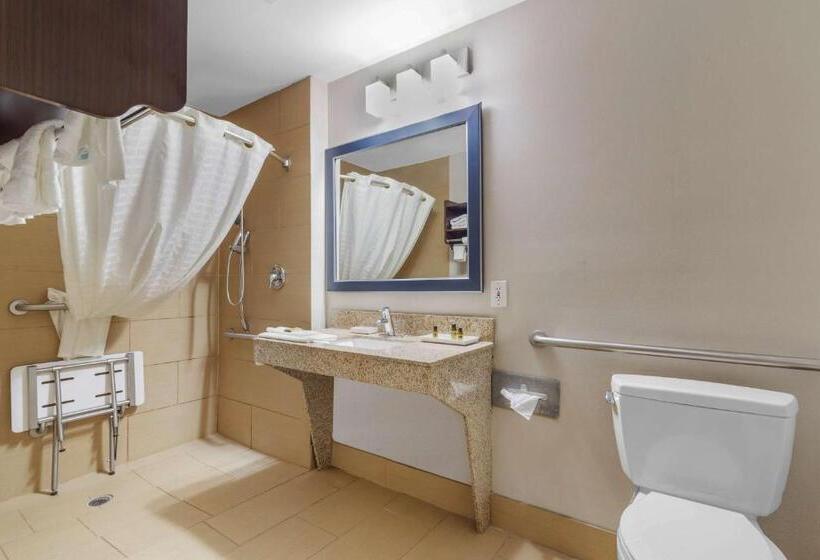 장애인을 위한 스위트, Best Western Plus Mcdonough Inn & Suites