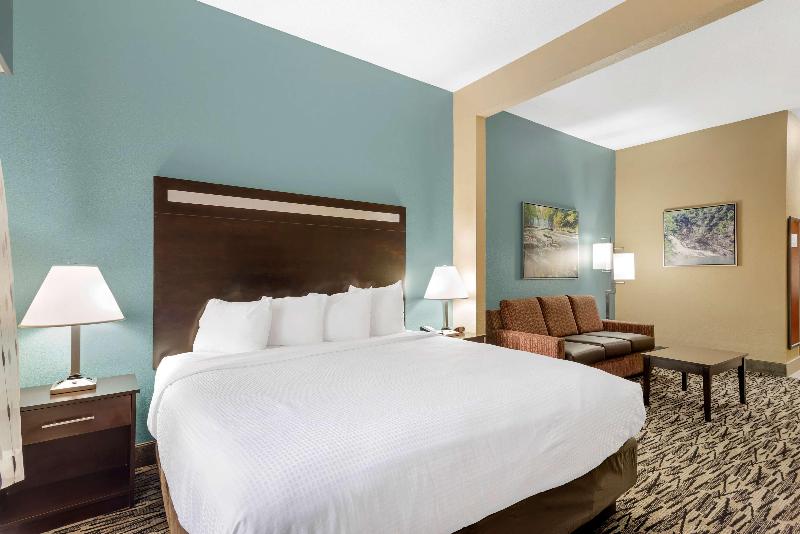 스위트 킹사이즈 침대, Best Western Plus Mcdonough Inn & Suites