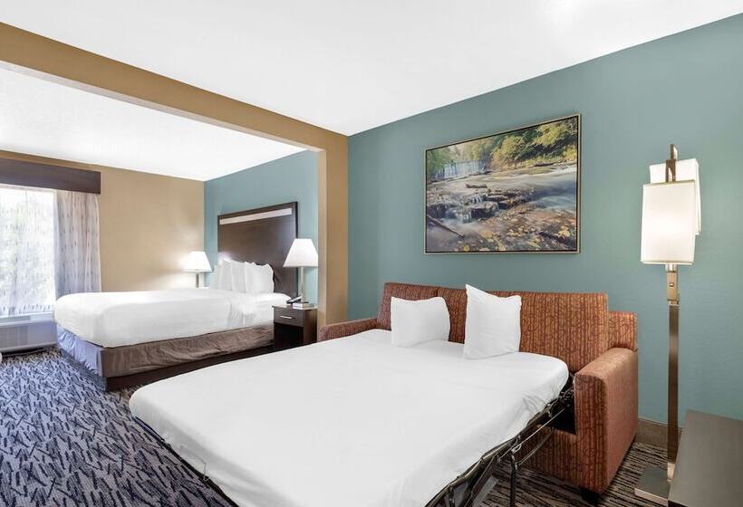 스위트, Best Western Plus Mcdonough Inn & Suites